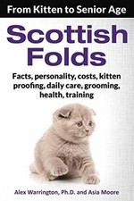 Scottish folds kitten for sale  Philadelphia