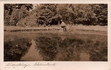 Lüdersburg schlossteich enten gebraucht kaufen  Bad Zwischenahn