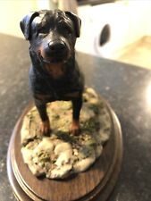 Country artists rottweiler for sale  TADWORTH