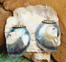 Silber hrhänger nautilus gebraucht kaufen  Münster