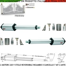 Pistoni reversibili 220 usato  Roma