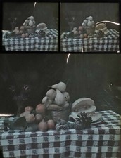 Photographie autochrome stereo d'occasion  Versailles