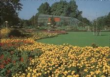 Hamburg internationale gartenb gebraucht kaufen  Deutschland
