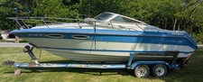 24 sea ray for sale  Novelty