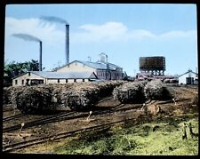 FOTO INFANTIL MOINHO DE CANA-DE-AÇÚCAR C1910 Lanterna Mágica Slide AUSTRÁLIA QUEENSLAND comprar usado  Enviando para Brazil