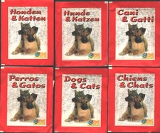 Cani gatti lotto usato  Lucera