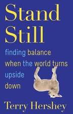 Stand Still: Finding Balance When the World Turns Upside Down by Terry Hershey, usado segunda mano  Embacar hacia Argentina