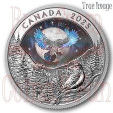 2025 - Moon Sky - Raven - Moeda holográfica de prata pura à prova de US$ 20 - Canadá, usado comprar usado  Enviando para Brazil