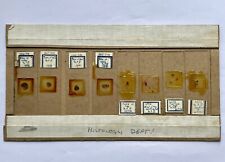 Vintage microscope slides for sale  SOUTHEND-ON-SEA