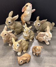 Lot brown bunny for sale  Mount Dora