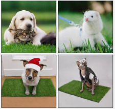 dog pad grass pee for sale dog pad grass pee for sale Kenilworth