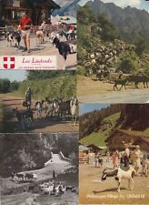 Goats chevres 109 d'occasion  Expédié en Belgium