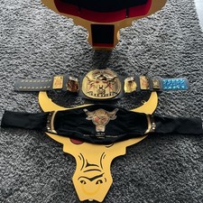 Wwe the rock gebraucht kaufen  Selters