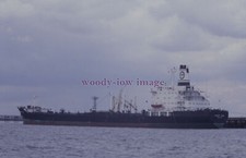 Slxz640 maltese oil for sale  EAST COWES