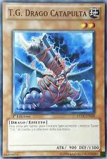 T.g. drago catapulta usato  Calcinaia