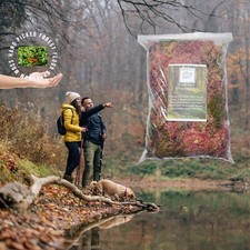 Sphagnum moss forest for sale  MANCHESTER