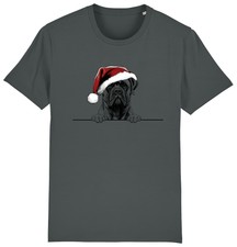 Bullmastiff christmas dog for sale  PONTYPRIDD