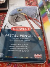 Pastel pencil crayons for sale  BRISTOL