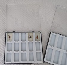 Mini biester präsentationskas gebraucht kaufen  Stuttgart