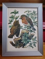 Bird print drawing for sale  FELTHAM