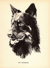 1930s belgian shepherd for sale  Harborton