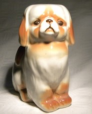 Russian lomonosov pekingese for sale  STANSTED