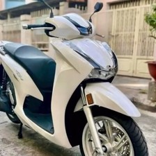 Carene 350 usato  Italia