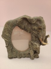 Elephant baby picture for sale  Toms River
