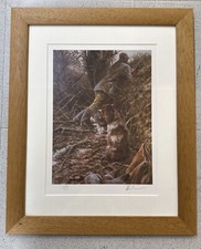 Mick cawston pigeon for sale  FROME
