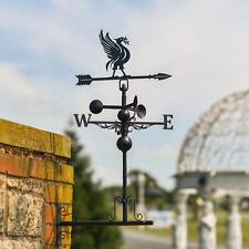Miniature steel liver for sale  OSWESTRY