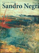 Sandro negri arte usato  Italia