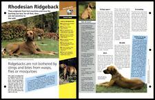 Rhodesian ridgeback routine for sale  SLEAFORD