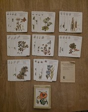 Ddr lehrquartett blumen gebraucht kaufen  Limbach-Oberfrohna