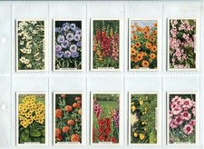 Garden flowers 1938 for sale  SWINDON