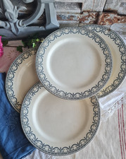 Anciennes assiettes plates d'occasion  Le Poinçonnet