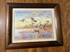 Landing mallard ducks for sale  Oxford