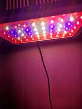 600 watt led for sale  NUNEATON