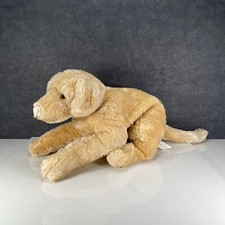 Animal alley labrador for sale  ROTHERHAM