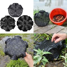 Eel trap shrimp for sale  USA