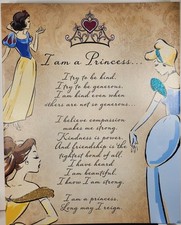 X15 disney princess for sale  Hoschton