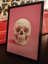 Quadro teschio sfondo usato  Noci