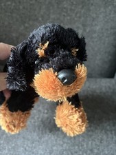 Cuddle puppies alsation for sale Cuddle puppies alsation for sale  SPALDING