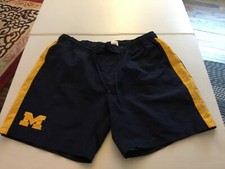 Michigan wolverines giii for sale  Saint Charles