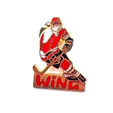 Wing pin eishockey gebraucht kaufen  Kassel