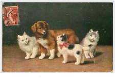 chiot berger d'occasion  Expédié en Belgium