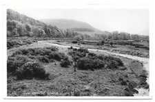 River bowmont yetholm for sale  COLEFORD