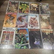 LOTE DE QUADRINHOS TEENAGE MUTANT NINJA TURTLES: IDW, DW, DC; BATMAN, DRAGÃO SELVAGEM, usado comprar usado  Enviando para Brazil