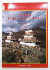 Bracci tibet sopravvissuto. usato  Vercelli