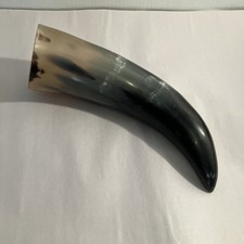 Polished cow horn for sale  Scottsville