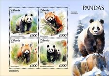 2024 liberia pandas d'occasion  Brunoy